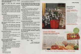 Better Homes & Gardens November 2011 Magazine Article: Page 90