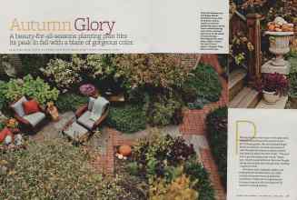 Better Homes & Gardens November 2011 Magazine Article: Page 94