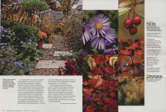 Better Homes & Gardens November 2011 Magazine Article: Page 96
