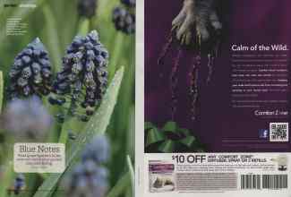 Better Homes & Gardens November 2011 Magazine Article: Page 98