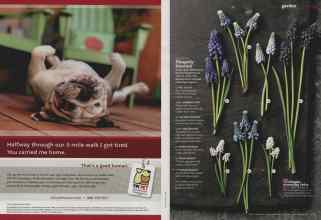 Better Homes & Gardens November 2011 Magazine Article: Page 102