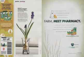 Better Homes & Gardens November 2011 Magazine Article: Page 104