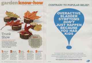 Better Homes & Gardens November 2011 Magazine Article: Page 110