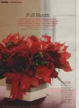Better Homes & Gardens December 2011 Magazine Article: Full Bloom