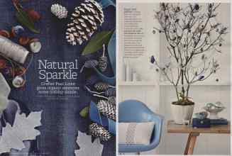 Better Homes & Gardens December 2011 Magazine Article: Natural Sparkle