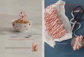 Better Homes & Gardens December 2011 Magazine Article: Page 180