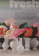 Better Homes & Gardens February 2012 Magazine Article: Brrrr-ing it on!
