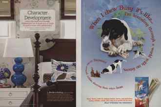 Better Homes & Gardens February 2012 Magazine Article: Page 44