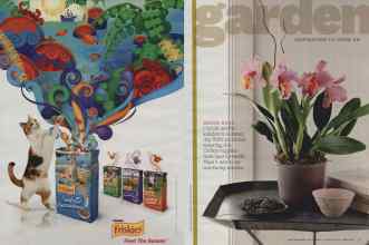 Better Homes & Gardens February 2012 Magazine Article: Page 72
