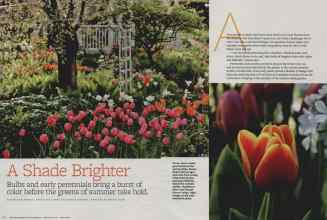 Better Homes & Gardens February 2012 Magazine Article: Page 74