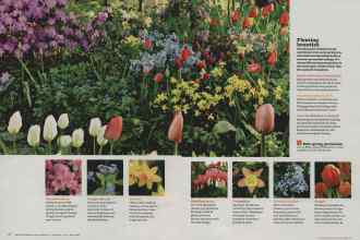 Better Homes & Gardens February 2012 Magazine Article: Page 76