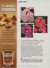 Better Homes & Gardens March 2012 Magazine Article: Candy Store Phlox Trio