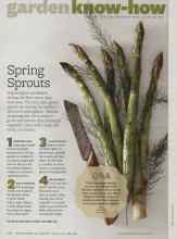 Better Homes & Gardens March 2012 Magazine Article: Spring Sprouts