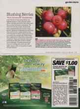 Better Homes & Gardens March 2012 Magazine Article: Blushing Berries