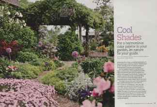 Better Homes & Gardens March 2012 Magazine Article: Page 88