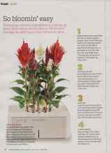 Better Homes & Gardens April 2012 Magazine Article: So bloomin' easy