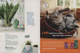 Better Homes & Gardens April 2012 Magazine Article: Page 34