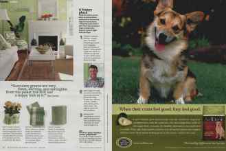 Better Homes & Gardens April 2012 Magazine Article: Page 50