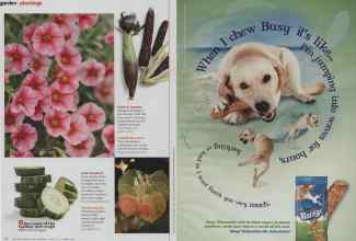 Better Homes & Gardens April 2012 Magazine Article: Page 96