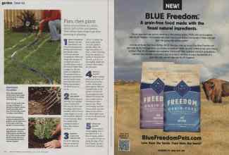 Better Homes & Gardens April 2012 Magazine Article: Page 114