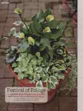 Better Homes & Gardens May 2012 Magazine Article: Festival of Foliage