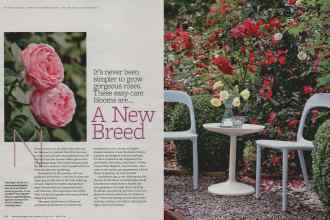 Better Homes & Gardens May 2012 Magazine Article: Page 96