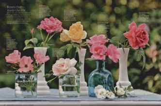 Better Homes & Gardens May 2012 Magazine Article: Page 98