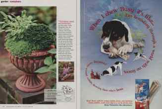 Better Homes & Gardens May 2012 Magazine Article: Page 116