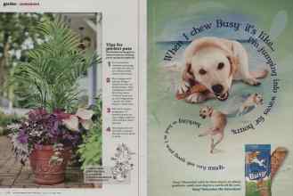 Better Homes & Gardens May 2012 Magazine Article: Page 118