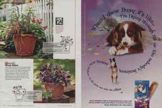 Better Homes & Gardens May 2012 Magazine Article: Page 120