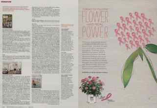Better Homes & Gardens May 2012 Magazine Article: Page 230