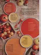 Better Homes & Gardens June 2012 Magazine Article: Tomato Hues