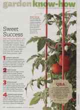 Better Homes & Gardens June 2012 Magazine Article: Sweet Success