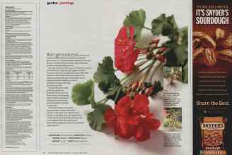 Better Homes & Gardens June 2012 Magazine Article: Page 110