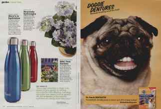 Better Homes & Gardens June 2012 Magazine Article: Page 118