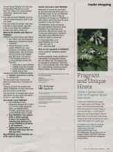 Better Homes & Gardens July 2012 Magazine Article: Fragrant and Unique Hosta
