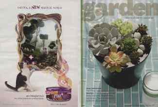 Better Homes & Gardens July 2012 Magazine Article: Page 66