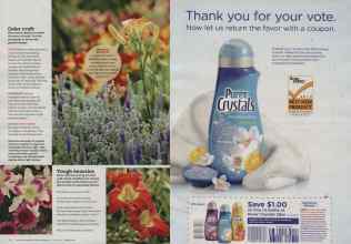 Better Homes & Gardens July 2012 Magazine Article: Page 74