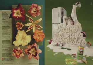 Better Homes & Gardens July 2012 Magazine Article: Page 76