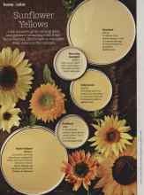 Better Homes & Gardens August 2012 Magazine Article: Sunflower Yellows