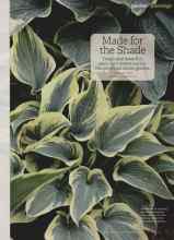 Better Homes & Gardens August 2012 Magazine Article: Made for the Shade