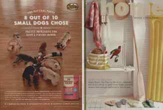 Better Homes & Gardens August 2012 Magazine Article: Page 28