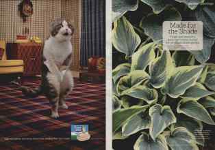 Better Homes & Gardens August 2012 Magazine Article: Page 80