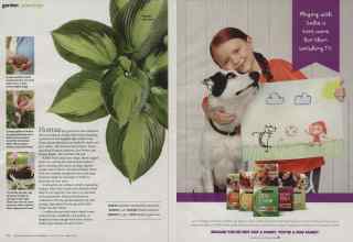 Better Homes & Gardens August 2012 Magazine Article: Page 82