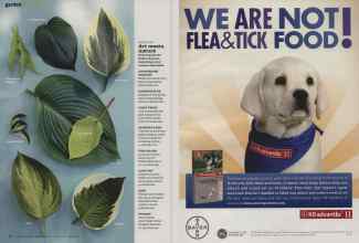 Better Homes & Gardens August 2012 Magazine Article: Page 84