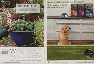 Better Homes & Gardens August 2012 Magazine Article: Page 90