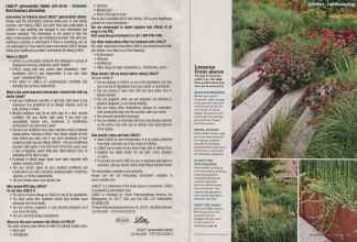 Better Homes & Gardens September 2012 Magazine Article: Page 98