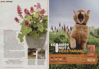 Better Homes & Gardens September 2012 Magazine Article: Page 102