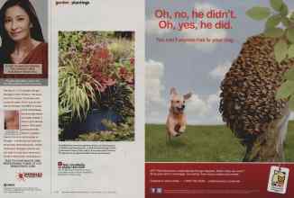 Better Homes & Gardens September 2012 Magazine Article: Page 106