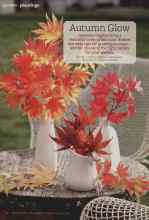 Better Homes & Gardens October 2012 Magazine Article: Autumn Glow